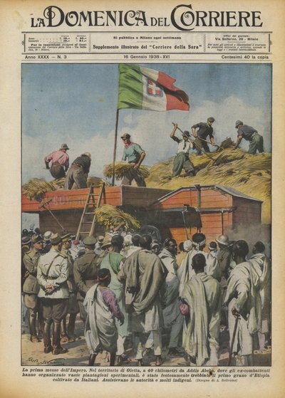 Imperiets første høsting av Achille Beltrame