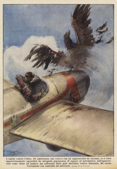 Ørnen mot propellen av Achille Beltrame