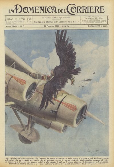 Gribben mot flyet av Achille Beltrame