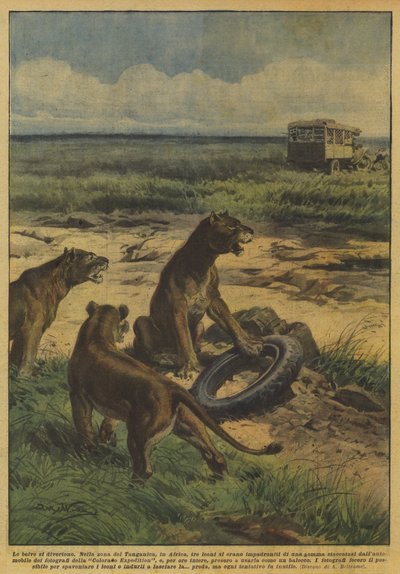 Dyrene har det gøy av Achille Beltrame
