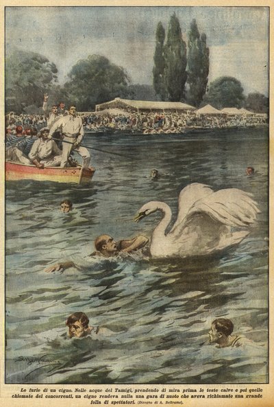 Raseriet til en svane av Achille Beltrame