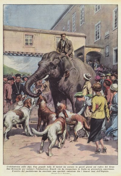 Elefanten på Alpene av Achille Beltrame
