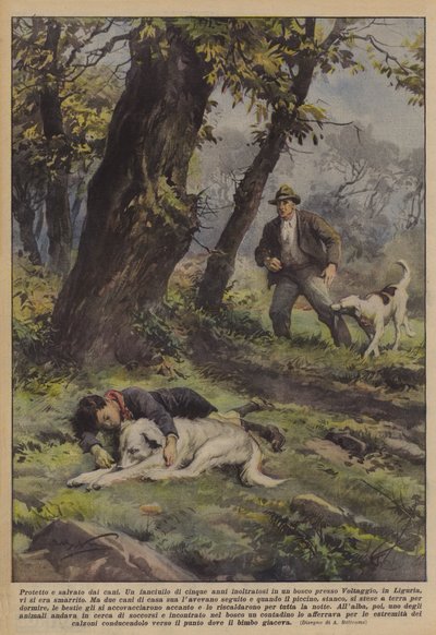 Beskyttet og reddet av hunder av Achille Beltrame