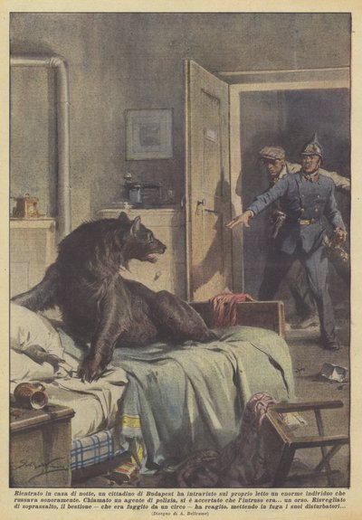 Hjemme om natten, fikk en borger av Budapest et glimt av en stor mann på sengen sin? av Achille Beltrame