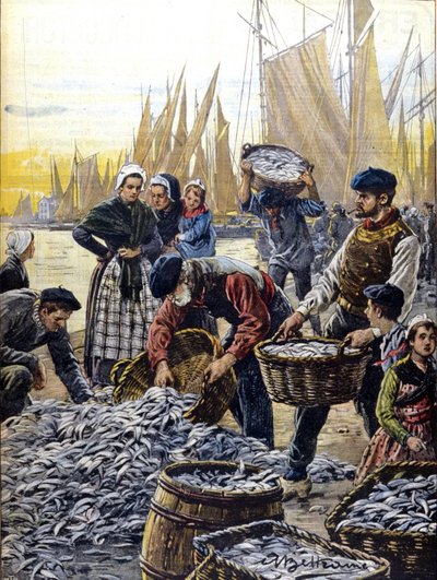 Sardinfiske i Bretagne i 1903 illustrasjon av Achille Beltrame av Achille Beltrame