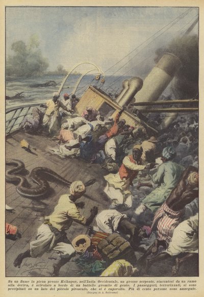 På en rasende elv nær Kolhapur, Vest-India, brøt en stor slange av? av Achille Beltrame