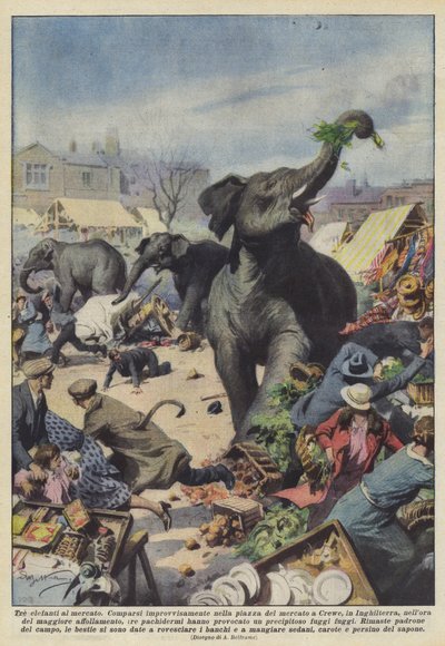 Tre elefanter på markedet av Achille Beltrame