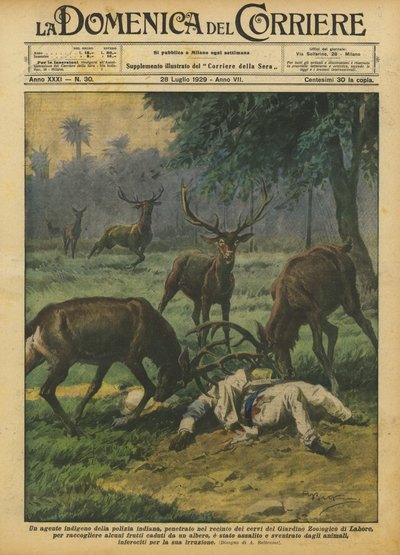 En urbefolkningsagent for det indiske politiet, brøt seg inn i hjorteinnhegningen i Zoological Garden? av Achille Beltrame