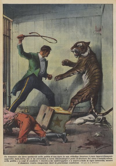 En temmer som setter opp i et tigerbur i en fransk by? av Achille Beltrame