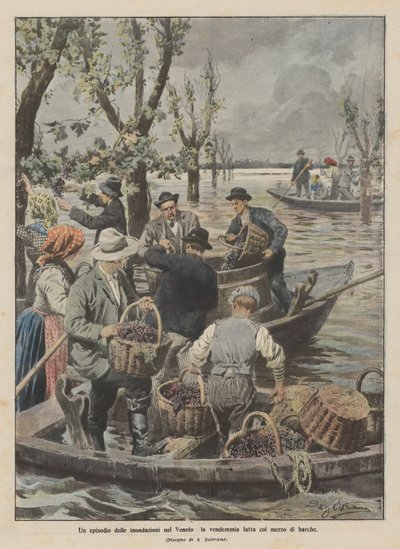 En episode av flommene i Veneto, innhøstingen gjort med båt av Achille Beltrame