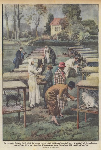 Et sykehus som er annerledes enn de andre av Achille Beltrame