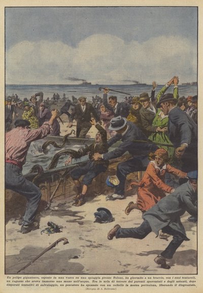 Har en gigantisk blekksprut, vist i et badekar på en strand i nærheten av Toulon, tatt tak? av Achille Beltrame