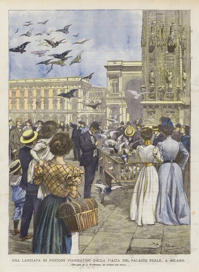 En utskyting av passasjerduer fra Royal Palace Square i Milano av Achille Beltrame