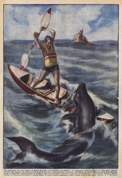 En kamp med en hai av Achille Beltrame
