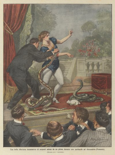 En vakker sibirsk slangetjarmer bitt av en pytonslang under et show i Alessandria (Piemonte) av Achille Beltrame