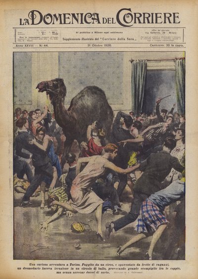 Et nysgjerrig eventyr i Torino av Achille Beltrame