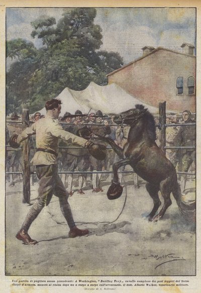 En boksekamp uten sidestykke, Washingtons mester i battling Tony-hestevekt? av Achille Beltrame