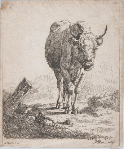 En ku, sett forfra, 1805. av Adam von Bartsch