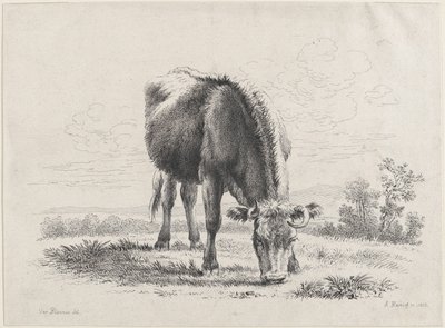 Kubeite, 1805., 1805. av Adam von Bartsch