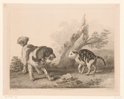 Hund og katt i kampstilling Dyr etter malerier av nederlandske mestere (serietittel) Différens animaux gravés d'après tableaux de différens maîtres hollandois (serietittel) av Adam von Bartsch