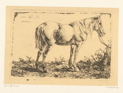 Hest på et tre av Adam von Bartsch