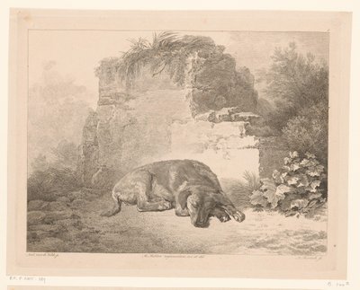 Sovende hund foran en vegg Dyr etter malerier av nederlandske mestere (serietittel) Différens animaux graves d