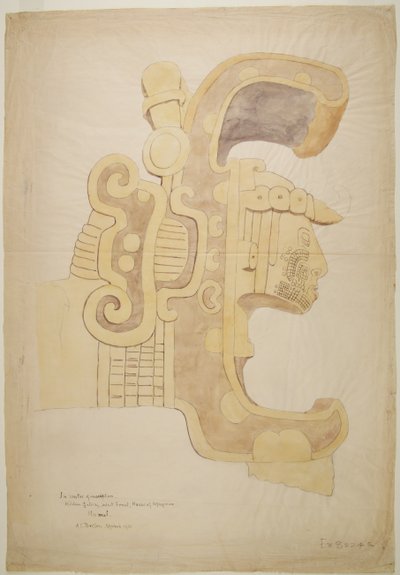 Ruiner/steinrelieffer ved tempelet i Uxmal, Mexico Utskåret hode, høyt dekorert (akvarell) av Adela Breton