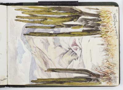 Skissebok med akvareller, tegninger og notater, Mexico, 1896-1898 (akvarell) av Adela Breton