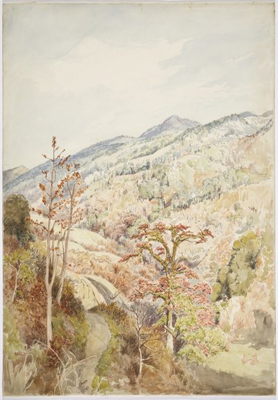 Skogkledd dal - Cuetzalan, Puebla, Mexicogulfen (akvarell og grafitt) av Adela Breton