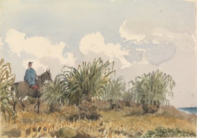 Tussac Grass, Falklandsøyene av Admiral Sir Edward Gennys Fanshawe