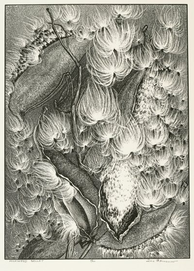 Milkweed ballett av Adolf Ernst Meissner