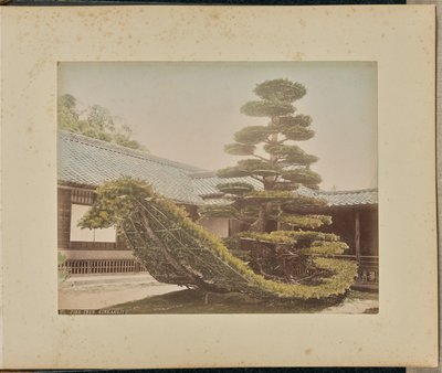 Furutre, Kinkakuji av Adolfo Farsari