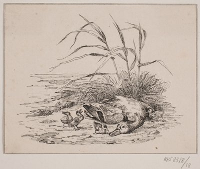 Den drepte anda av Johan Adolph Kittendorff