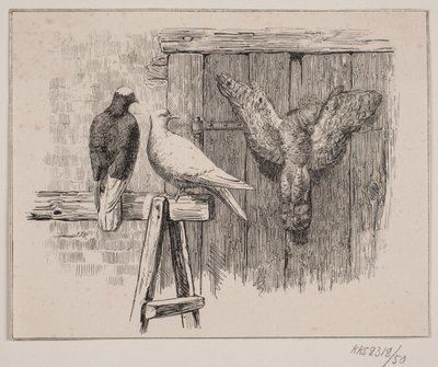 Duene av Johan Adolph Kittendorff