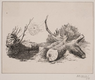 Ederkops av Johan Adolph Kittendorff