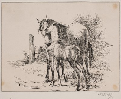 Hesten og føllet av Johan Adolph Kittendorff