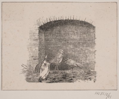 Kyllingene og endene av Johan Adolph Kittendorff
