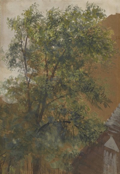 Utsikt fra gårdsplassvinduet til studioet hans på Marienstrasse 22 av Adolph Menzel