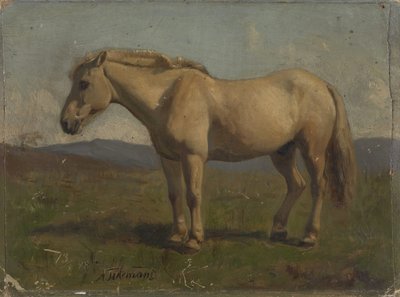  av Adolph Tidemand