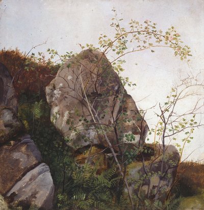  av Adolph Tidemand