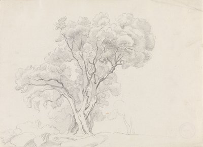  av Adolph Tidemand