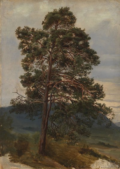  av Adolph Tidemand