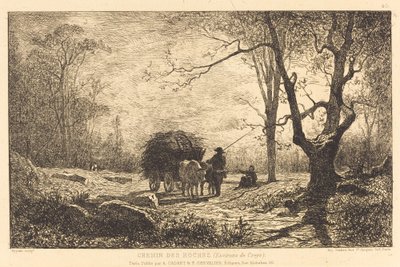 Stien til steinene av Adolphe Appian