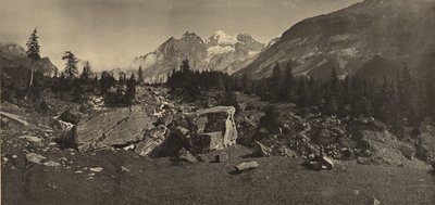  av Adolphe Braun