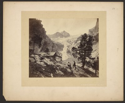  av Adolphe Braun