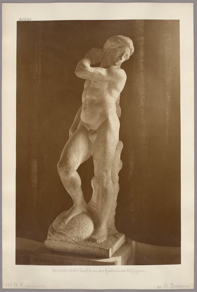  av Adolphe Braun