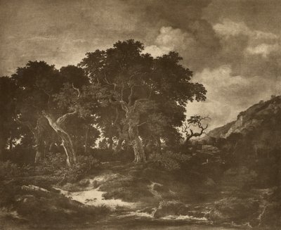 Landskapsmaleri av Ruysdael av Adolphe Braun
