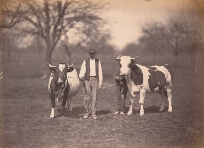  av Adolphe Braun