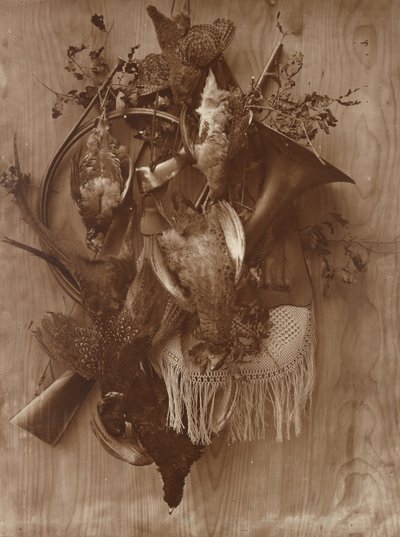 Fasan og rype, ca. 1865. av Adolphe Braun