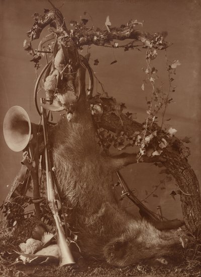  av Adolphe Braun